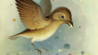 Buzelli universe bird thumb