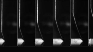 spider silk deformed by bullet