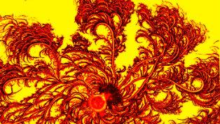 Paenibacillus Dendritiformis swarming