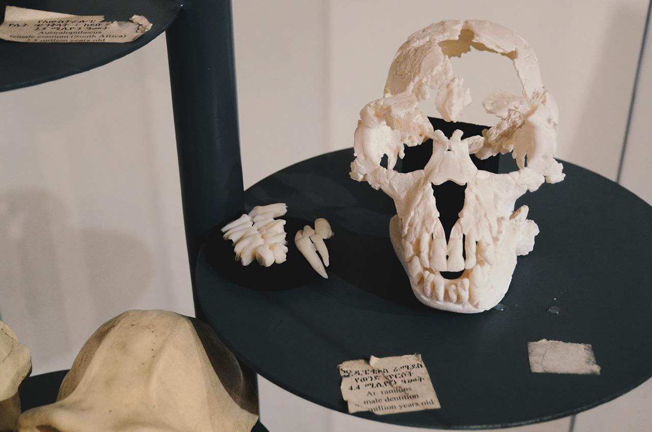 maxmen_SLIDESHOW_CC-1