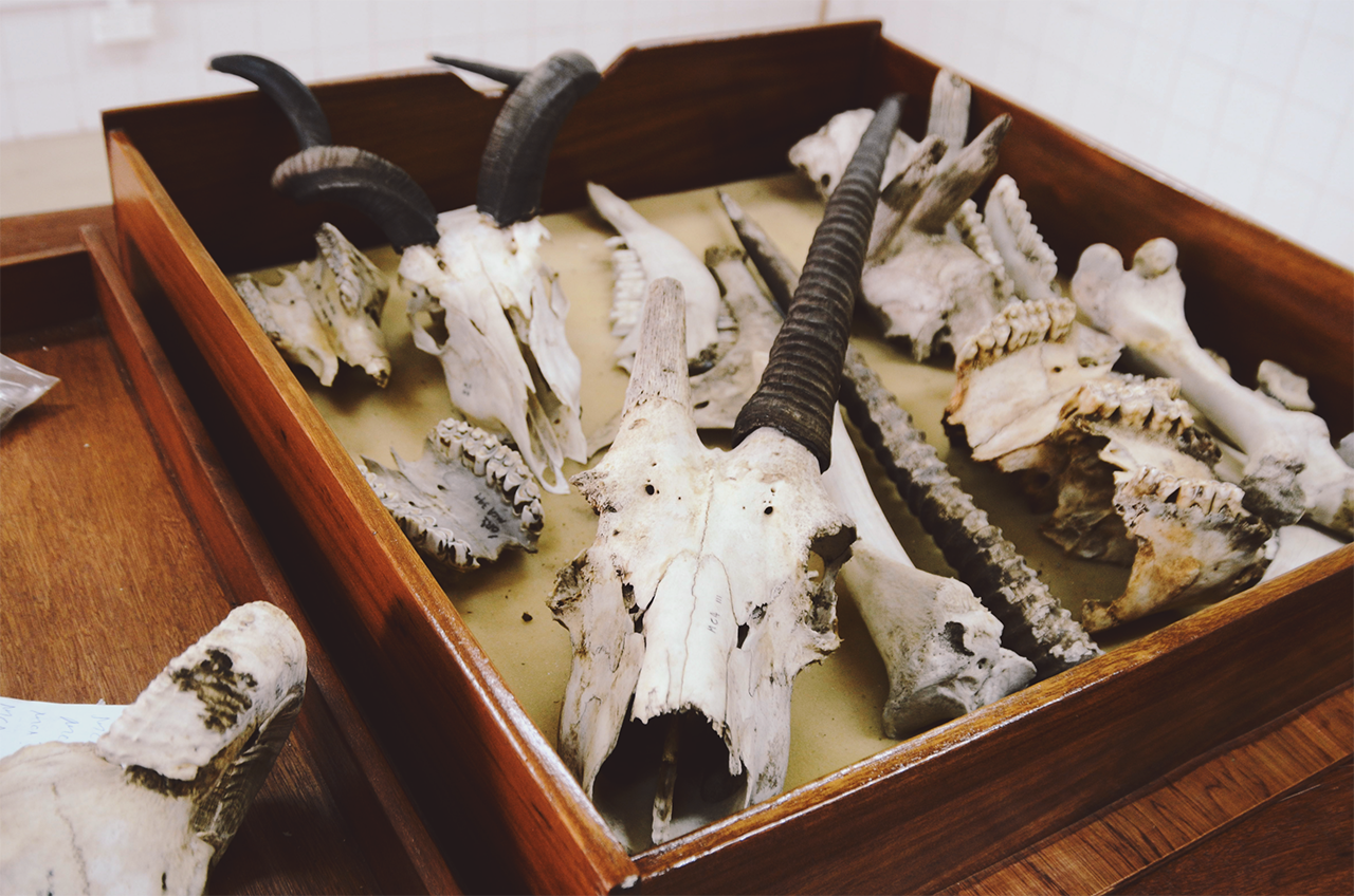 maxmen_SLIDESHOW_CC 4