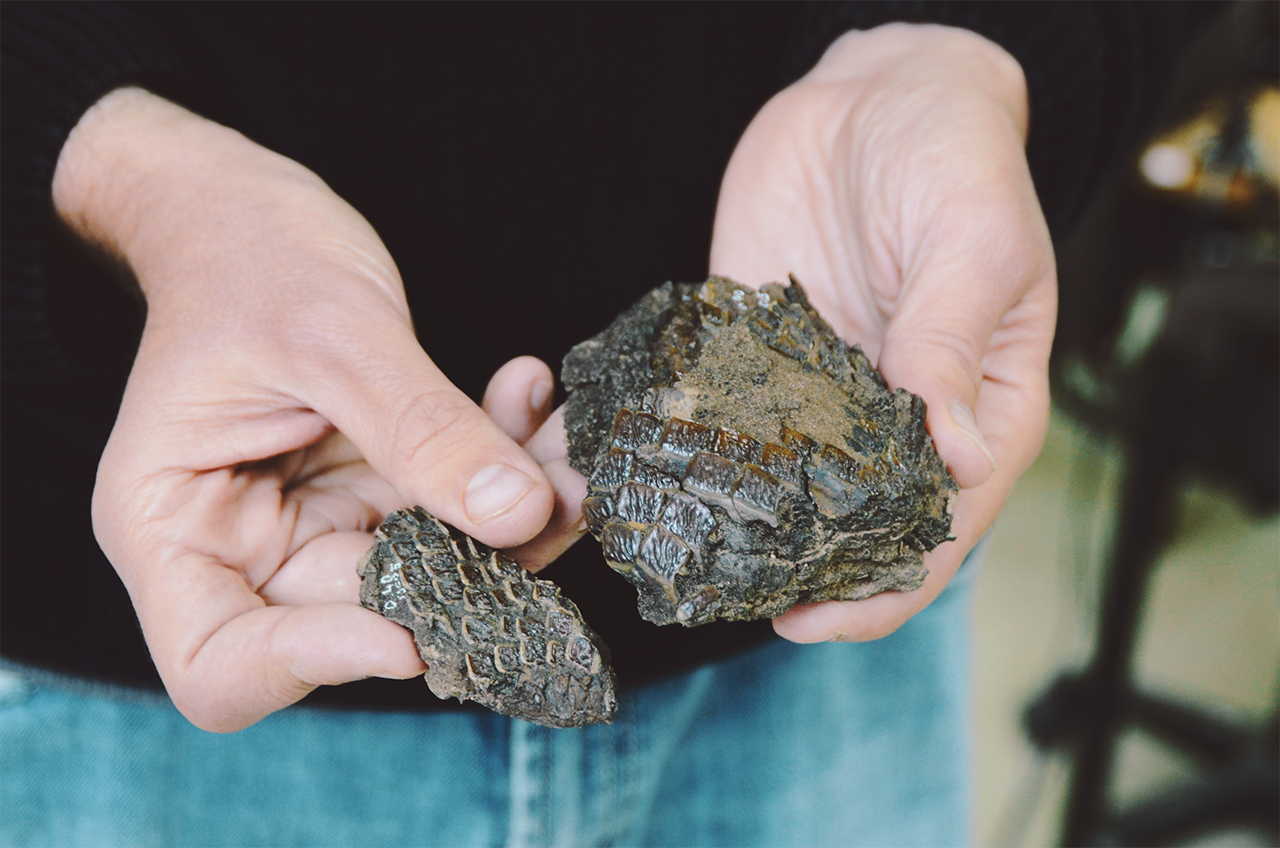 maxmen_SLIDESHOW_CC 5