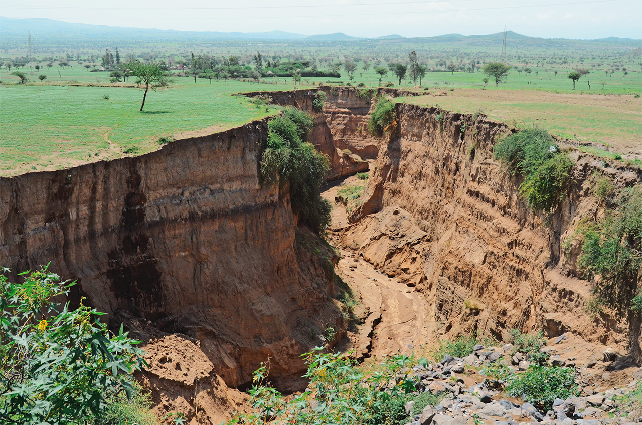 maxmen_SLIDESHOW_CC 8