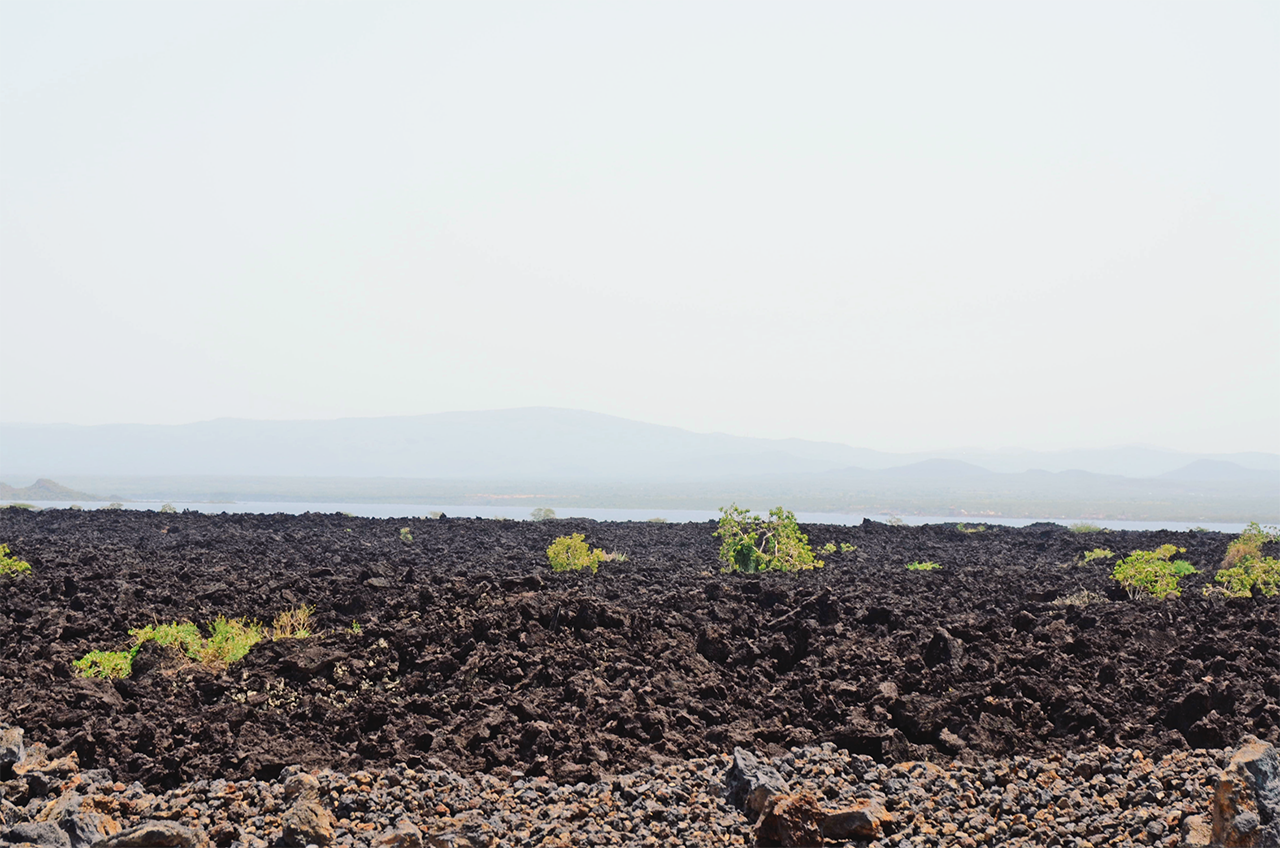 maxmen_SLIDESHOW_CC 11