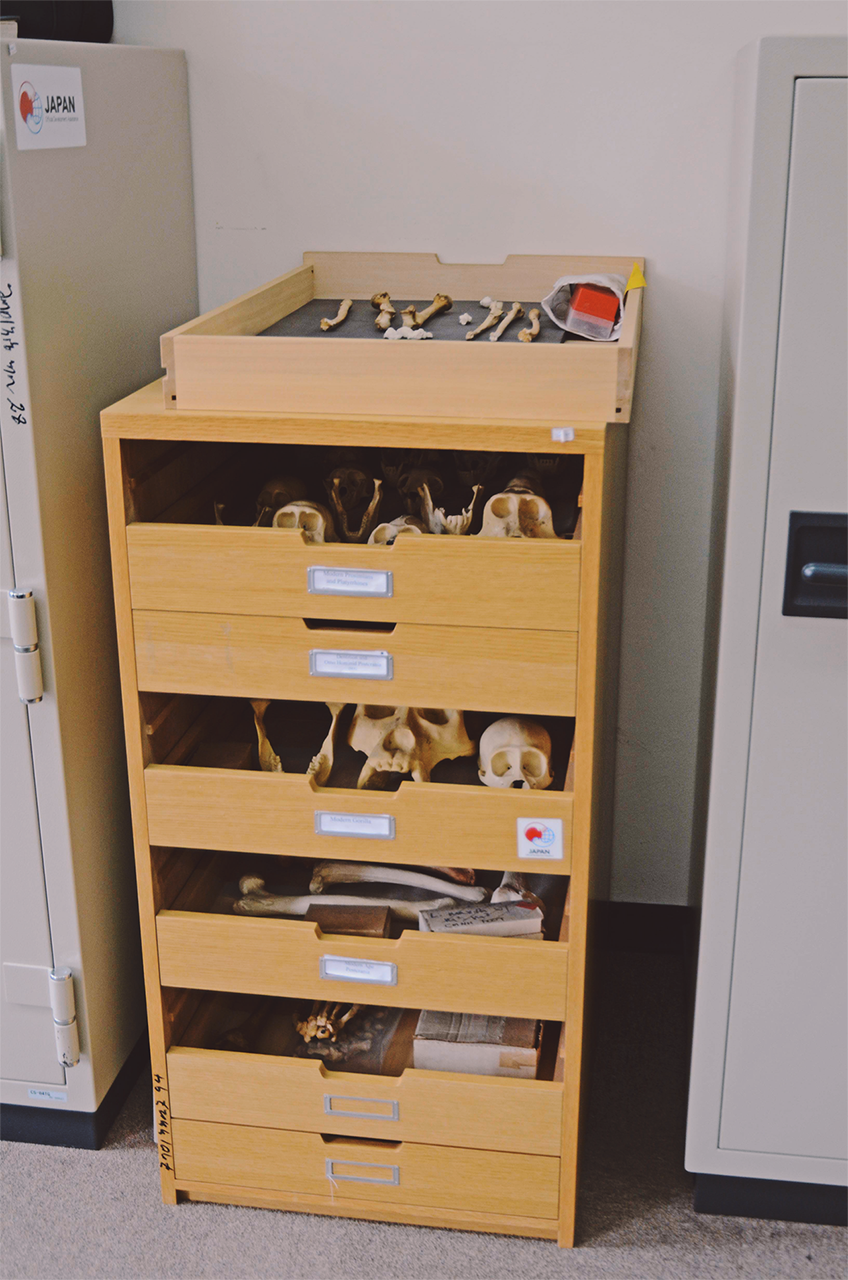 maxmen_SLIDESHOW_CC 2