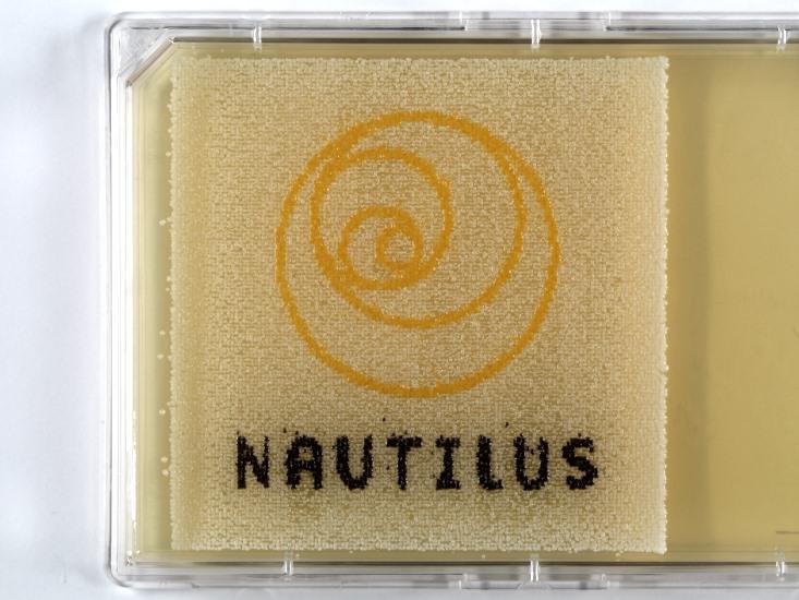 How Can Microscopic Yeast Draw the Nautilus Logo? The New Art of Bio-Pointillism