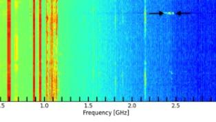 Parkes peryton signal bottom 