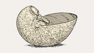 Ostashevsky-Davies_THUMB