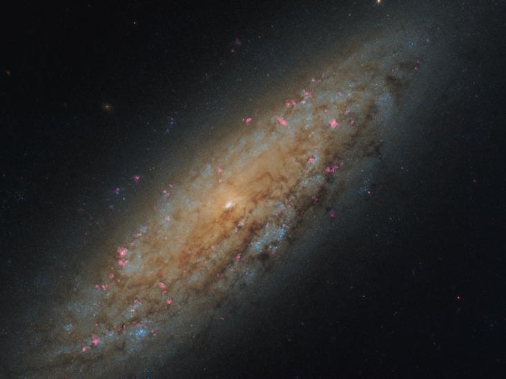 Cosmic Void Dwarfs Are a Thing and There’s a Problem With Them